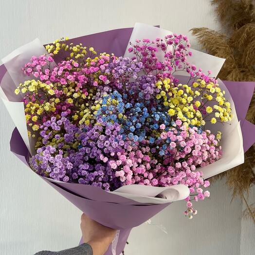 Rainbow gypsophila