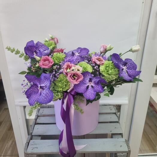 Ванда в кoрoбкe