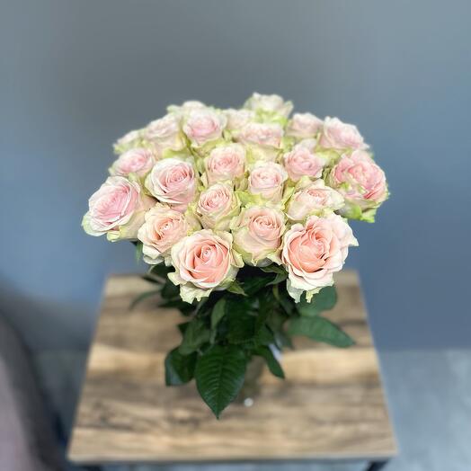 21 Rosa "Frutetto"
