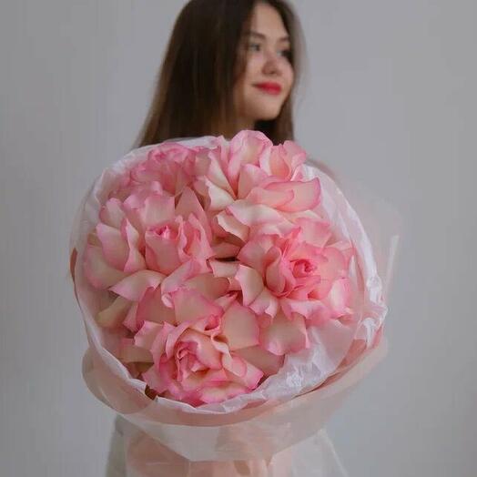 Французские розы розовые