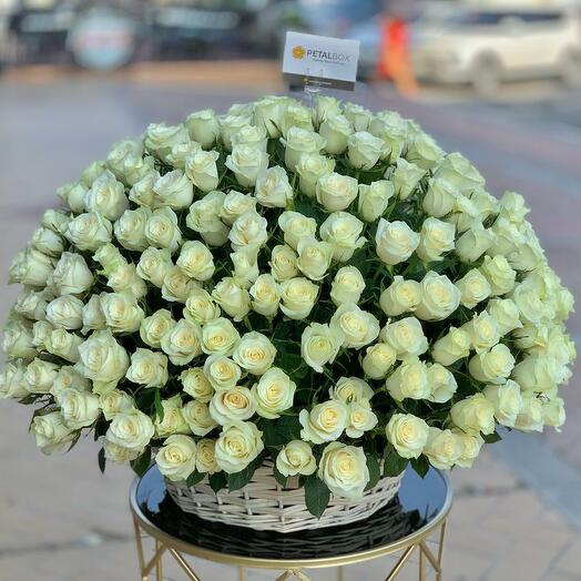 301 White Roses In a Basket
