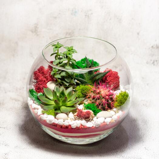 Флорариум М. Розовый оазис