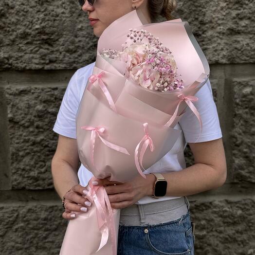 Нежная гортензия