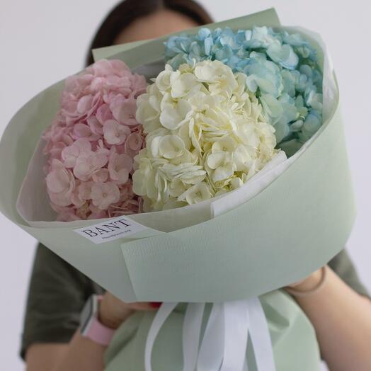 3 гортензии-2