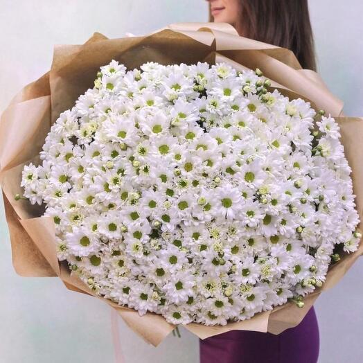 Букет из хризантем ромашковых 🌸