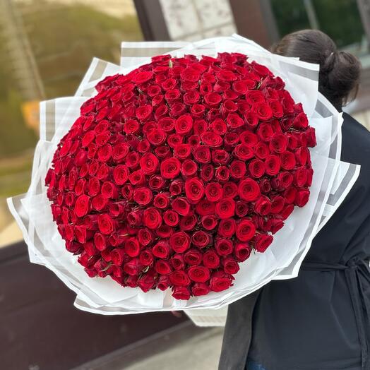 251 РОЗА ️