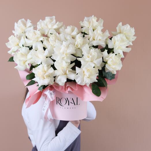 Композиция М