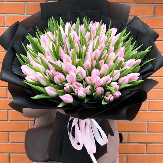 100 baby pink tulips