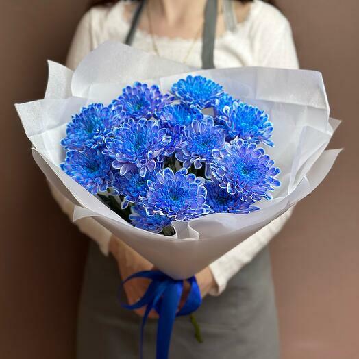 Blue Chrysanthemum