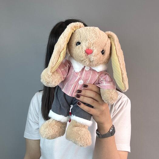 Bunny in a pink suit