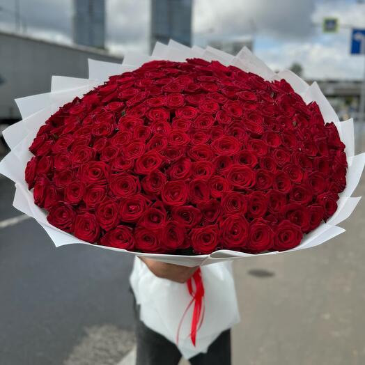 201 Роза
