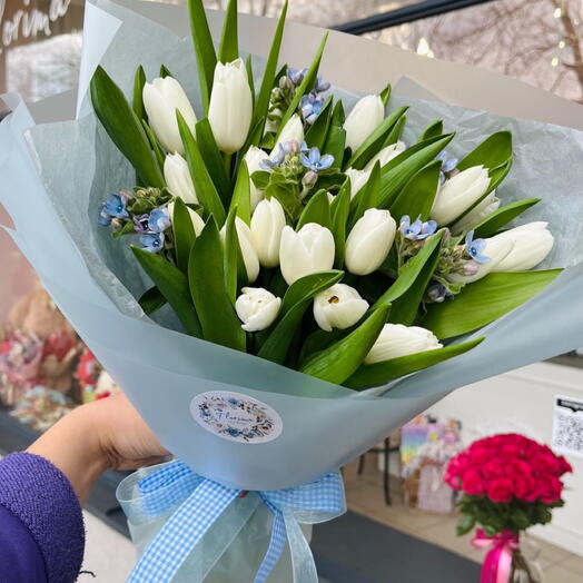 Niebieska chmurka z bialych tulipanow i oxypetalum