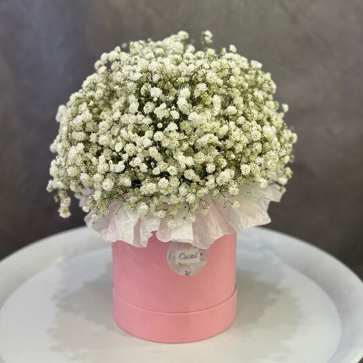 Ramo de gypsophila blanco en Caja