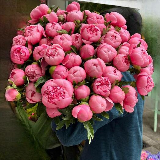 Bouquet of 51 coral peonies