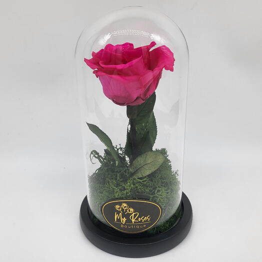 Single Pink Forever Rose Small