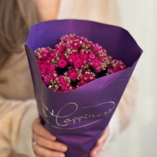 Каланхое Calandiva