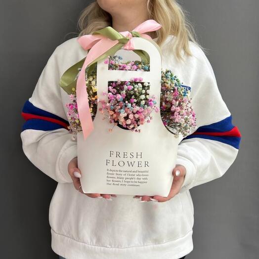 Promoción 🔥 🔥 🔥 Gypsophila arcoíris en el bolso Mini
