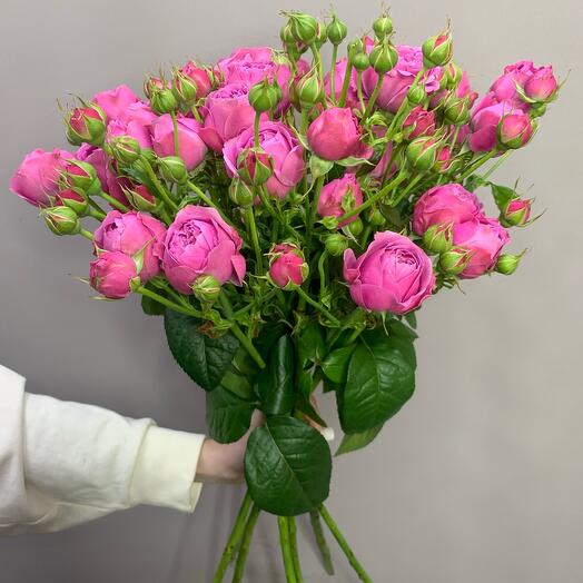 РОЗА КУСТОВАЯ 70 см 7 шт