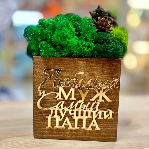 Релаксирующий бокс со мхом