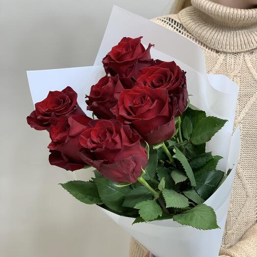 Роза Эквадор 7 шт