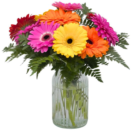 Mixed Large Gerbera Bouquet