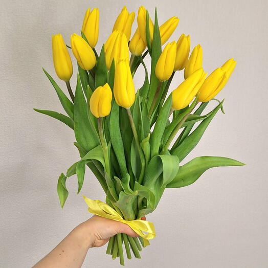 Тюльпаны 17 желтые