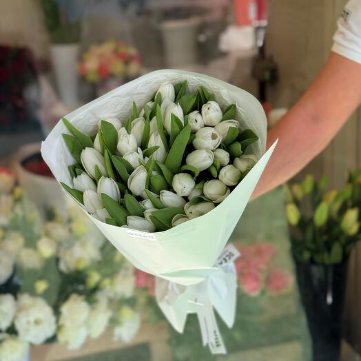 35 White Tulips