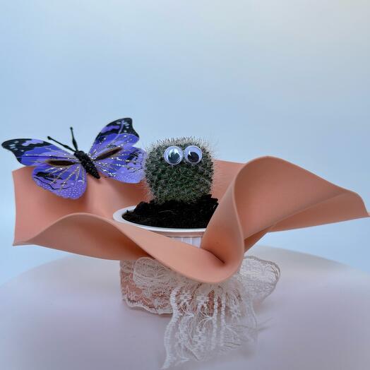 🌵 Кактус домашний "Friendly Cactus" с бабочкой
