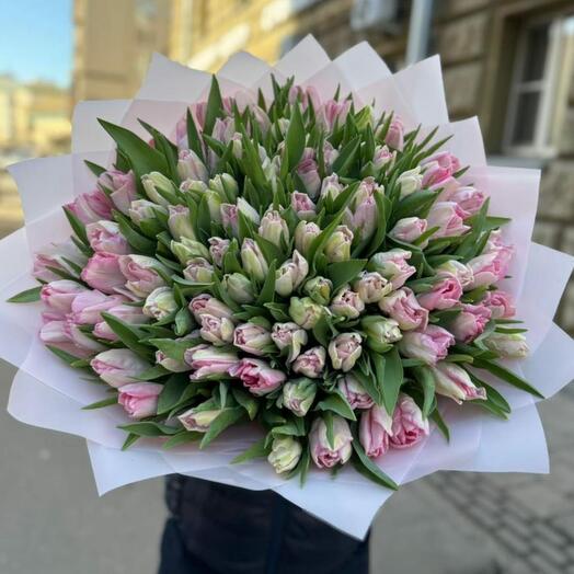 Букет розовых тюльпанов 101 шт