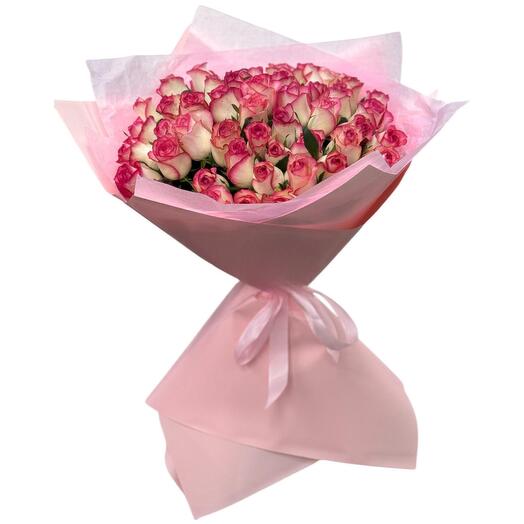 51 rose Jumilia
