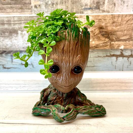 Groot-el guardián de la vegetación 🌱