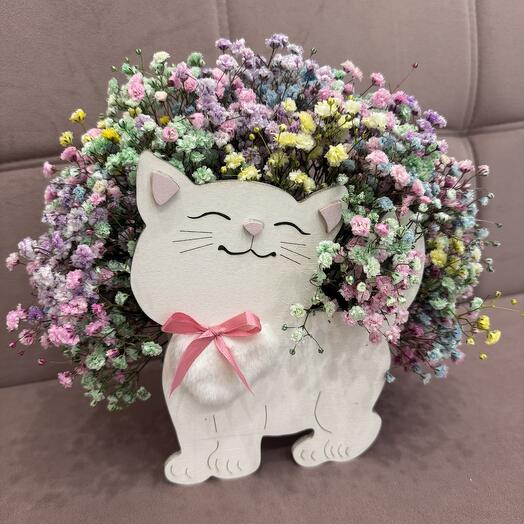 Радужный котик