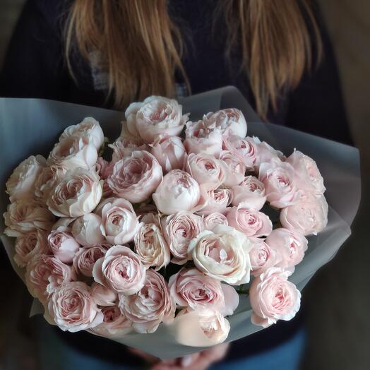 Кустовая роза Fairy Kiss Solo-11