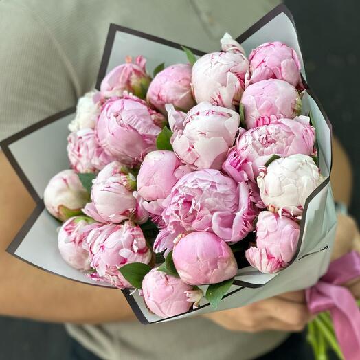 19шт розовых пионов