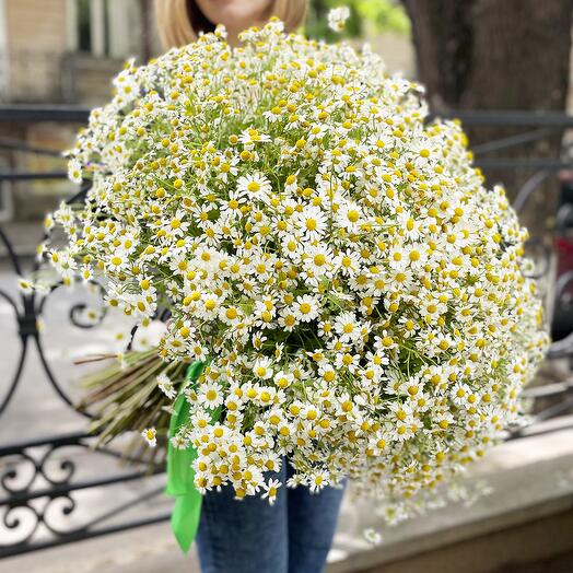 Bouquet with Camilla, size XL