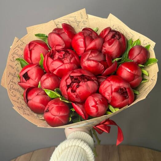 15 пионов бордовых Голландия (моно08207)