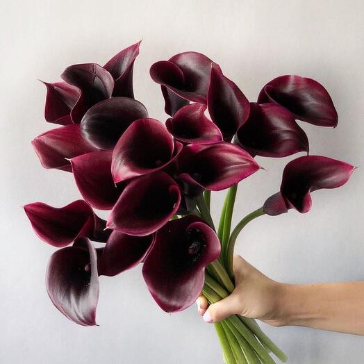 Calla lilies 15 pieces