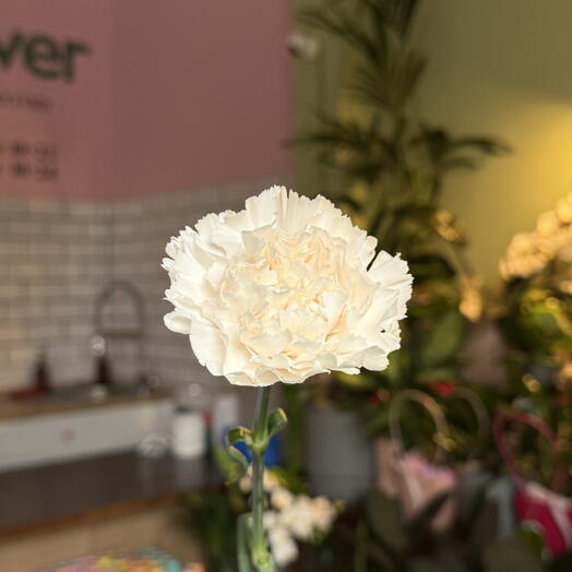 Кремова гвоздика