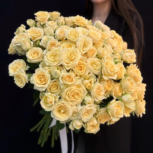 Кремовая кустовая роза 31 шт (мб 253)