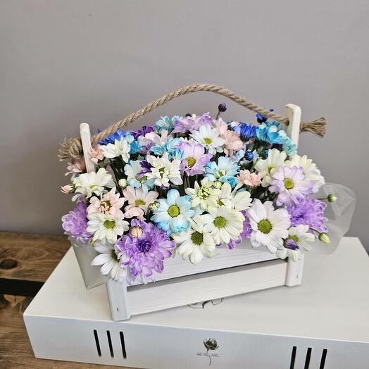 Цветы в ящике "Радужные мечты"