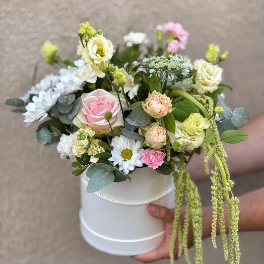 Сhampagne Rose