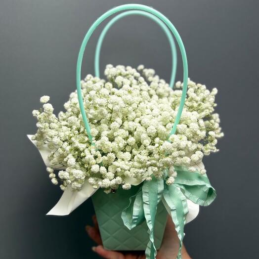 Гипсофила белая в сумке