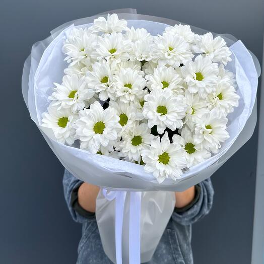 Стойкие, белые кустовые хризантемы