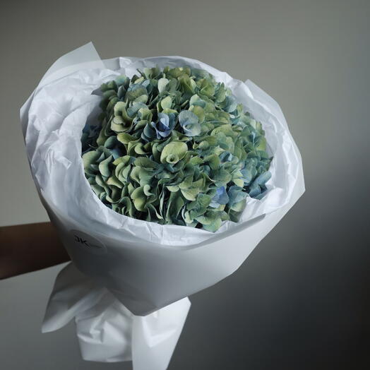 Стойкая осенняя гортензия