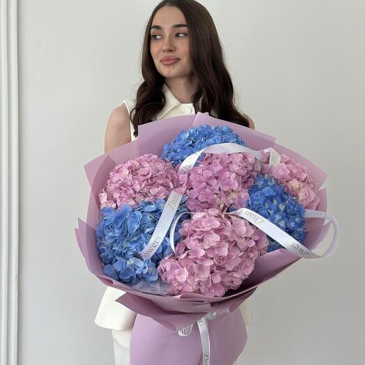 Гортензий 7