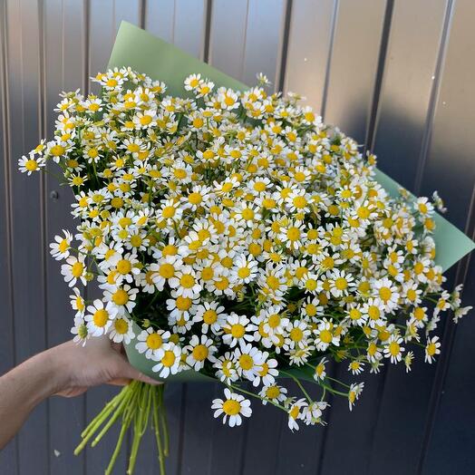 Букет из 17 ромашек