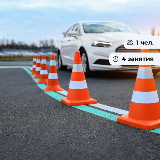 Стань профессионалом! Курс занятий по вождению