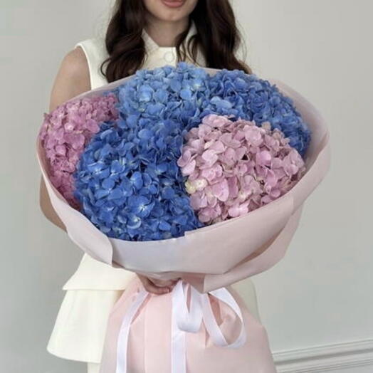 5 королевских гортензий