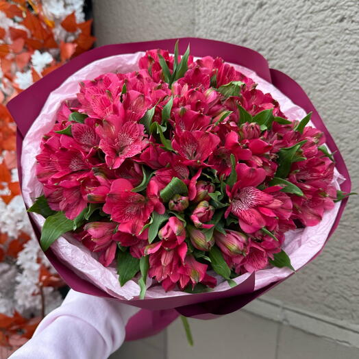 Букет красной альстромерии