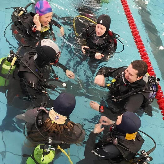 Подарочный сертификат «Начальный курс дайвинга PADI Open Water Diver (referral) в бассейне» (1 курс, 1 человек в составе группы)